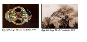 Life in color Life in color